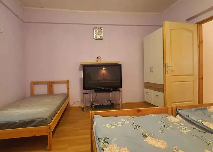 In - Balaton 43403 시오포크