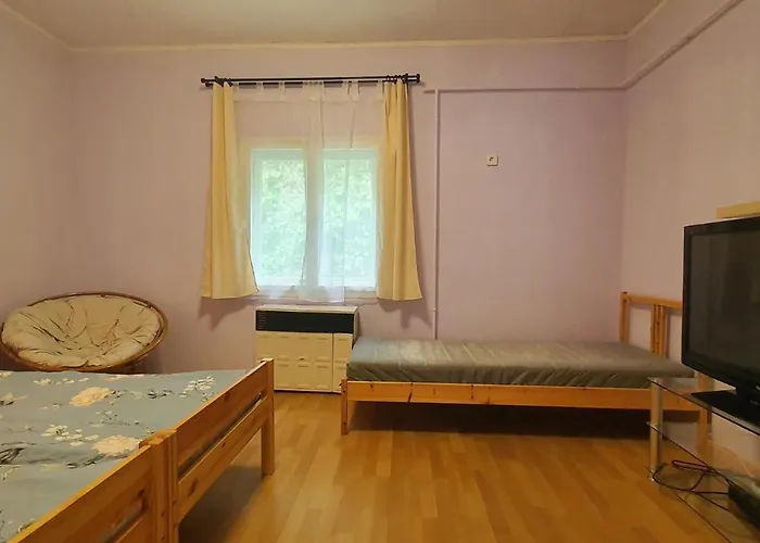 In - Balaton 43403 שיופוק